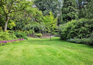 Optimiser l'expérience du jardin à Genneteil