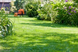 travaux jardin et paysage Genneteil